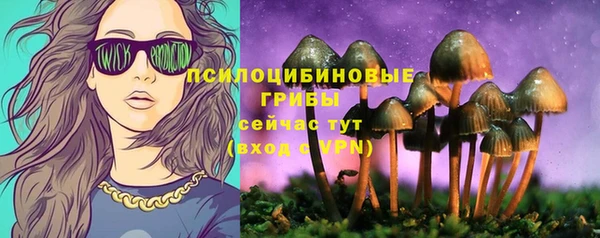соль ск Абдулино