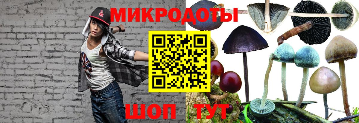 Галлюциногенные грибы Cubensis Новокузнецк